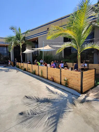 Outdoor patio seating at Sunny Grove Brewing with palm trees and guests enjoying drinks